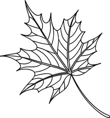 Maple leaf outline drawing autumn fall