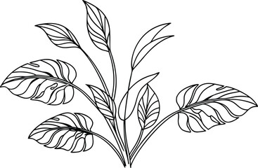 Tropical plant leaves line art foliage botanical