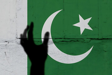 Reaching out for unity and connection against the backdrop of the Pakistani flag symbolises hope and national pride.