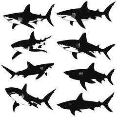 greek white shark silhouette set, Black & White silhouette set