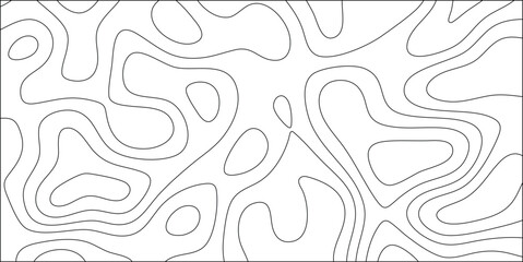 Abstract black and white contour lines illustration with a minimalist artistic design representing topographic or geological imagery