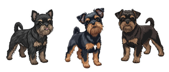 Cute Affenpinscher dog standing sideways detailed vector illustration