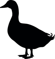 Black duck silhouette on white background
