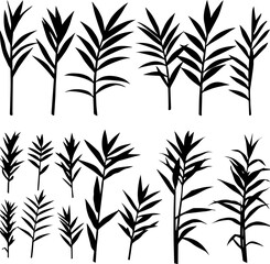 Several black silhouette illustrations of leafy plant stems with pointed leaves arranged in a grid pattern, isolated on a white background.