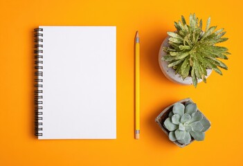 Flatlay showcasing a blank spiral notebook, yellow pencil, and two succulents in small pots on a vibrant orange background