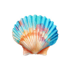 Sea shell illustration. Watercolor seashell isolated white transparent background. Hand drawn watercolor painting seashell. Watercolour style
