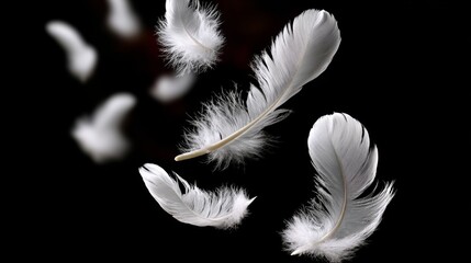 Obraz premium Flock of white feathers floating in the air. The feathers are scattered in different directions, creating a sense of movement and freedom. The scene evokes a feeling of lightness and tranquility