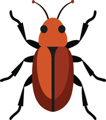 Close-up of flour beetle on grain, detailed insect macro photography, pest in stored food, red flour beetle, natural pest control concept, agricultural pest, insect closeup, entomology photo, free ima