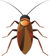 High quality close-up image of American cockroach, Periplanar americana, detailed insect photography, pest species, brown cockroach on surface, perfect for scientific, educational, and commercial use