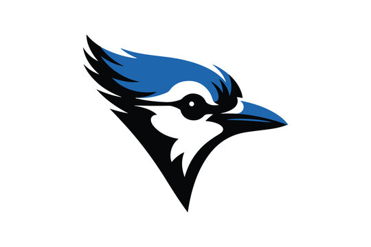 Blue Jay Mascot Logo Design. Stylized Bird Head Design for Sports, Schools, and Branding.