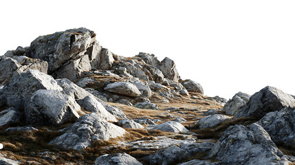 A rocky hillside with large grey stones dry grass and sparse bushes under a white sky isolated on transparent background