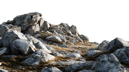 A rocky hillside with large grey stones dry grass and sparse bushes under a white sky isolated on transparent background