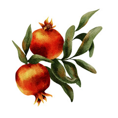 Watercolor pomegranate fruit with green leaves on branch, hand painted tropical fruit illustration, ripe red garnet clipart, transparent background, for packaging, prints, cards, branding