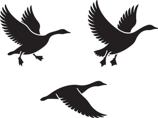 Fototapeta premium Canada Goose Wing Display Vector Silhouette – Side View, Front Flap, and Open-Wing Wildlife Art