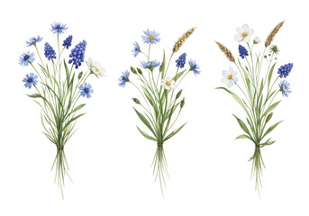 Naklejka premium Three watercolor bouquets of bluebells cornflowers and wheat tied with twine on a transparent background