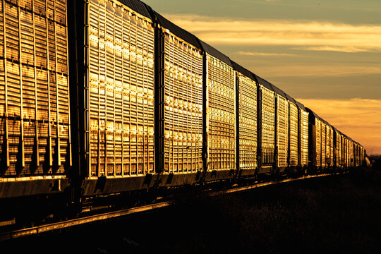 A freight train cars lit by the last glint of light at sunset