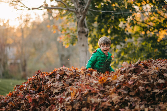 Happy child playing and hiding in a pile of leaves during autumn