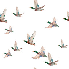 Seamless pattern with flying watercolor ducks hand drawn mallard birds on white background for nursery wallpaper and textile design