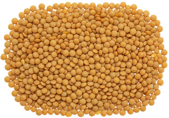 Isolated Pile of Golden Lentils for Healthy Eating