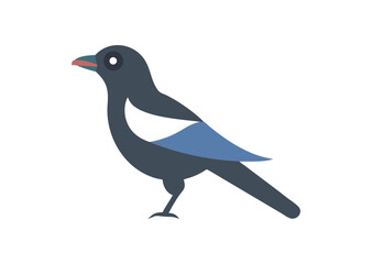 Obraz premium Magpie bird vector illustration