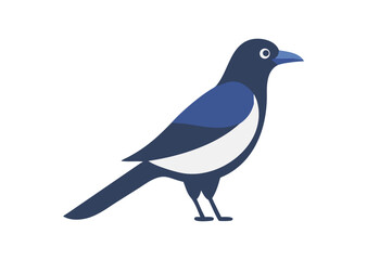 Obraz premium Magpie bird vector illustration