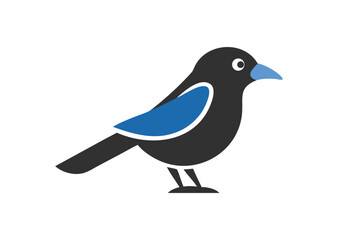 Obraz premium Magpie bird vector illustration