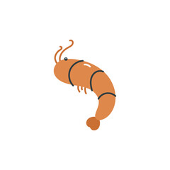 Shrimp on white background. Vector illustration in flat cartoon style. Marine design.
