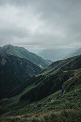 Naklejka premium Lush Green Alpine Valley with Forested Mountain Slopes