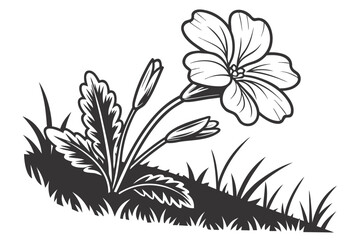 primrose flower black and white silhouette