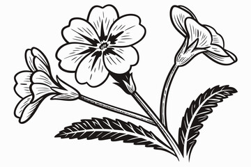 primrose flower black and white silhouette