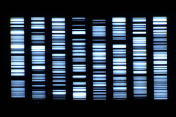 Abstract agarose gel electrophoresis of DNA, modern futuristic sci-fi background 