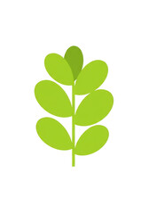 Stylized green plant stem with oval leaves on transparent background