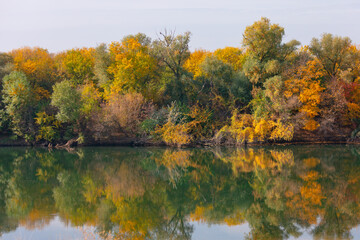 Autumnal nature reflected in a still river, showcasing the vibrant colors of the season. Serene autumnal landscape, with the vibrant colors of the trees mirrored in the calm water