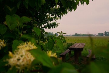 bench with a table at the edge of the field
