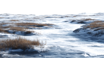 Partially frozen riverbed with ice and snow surrounded by dry winter grass isolated on transparent background