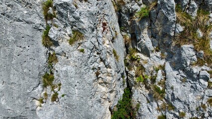 Felsen
