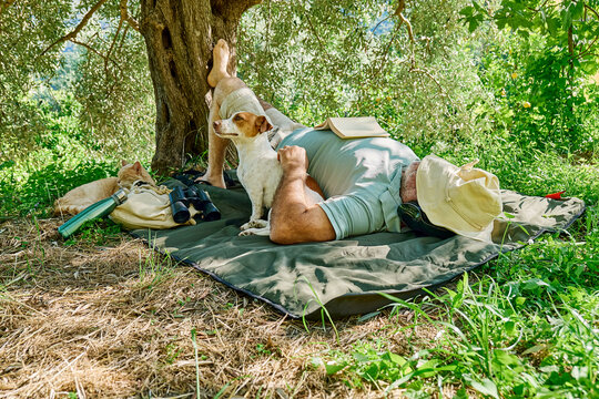 Mature man relaxing outdoors birdwatching with dog and cat