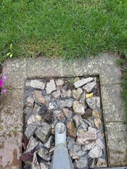 Regenwasser im Garten sammeln - Wasserknappheit