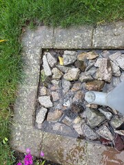Regenwasser im Garten sammeln - Wasserknappheit