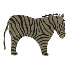 zebra vector illustration
