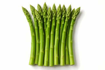 A neat bunch of fresh vibrant green asparagus spears with detailed pointed tips.