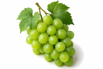 Fresh Green Grapes with Water Droplets and Leaves on White Background.