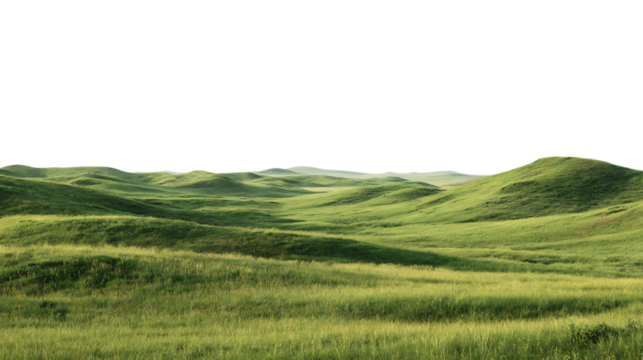 Lush green rolling hills with soft shadows under a clear sky isolated on transparent background