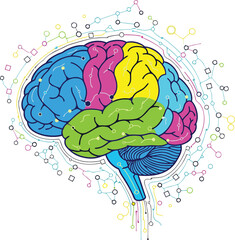 Human brain anatomy vector illustration: a medical concept of intelligence, thought, and health with white background.