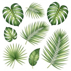 set of leaves
