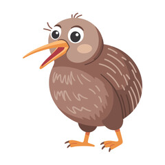Kiwi Bird, vector illustration on white background.