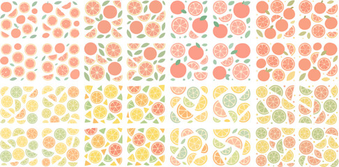 Assorted Citrus Fruit Slices and Whole Fruits Pattern.