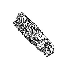 Smoldering herbs for fumigation hand drawn sketch illustration. Smudge stick incense drawing in engraving style. Vector line art clipart