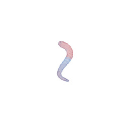 Iridescent Worm Curve on White