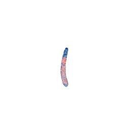 Abstract Watercolor Stroke - Blue and Pink Wash